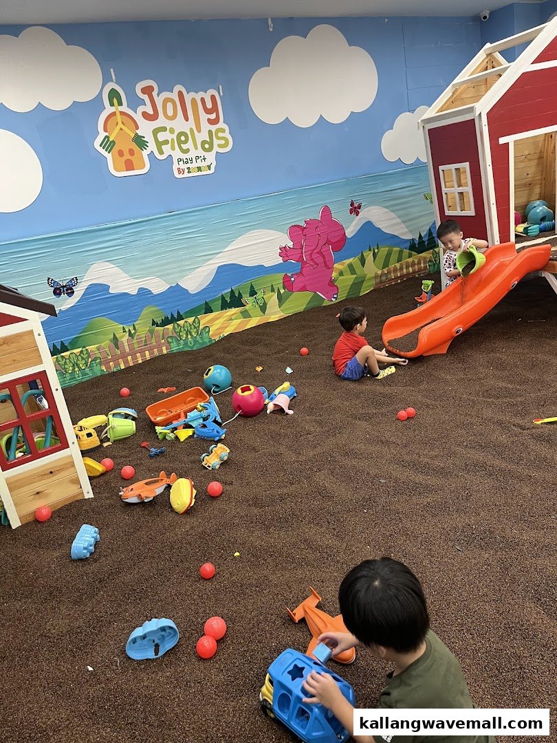 Children playing in a vibrant indoor play pit with slides, toys, and colorful wall murals.