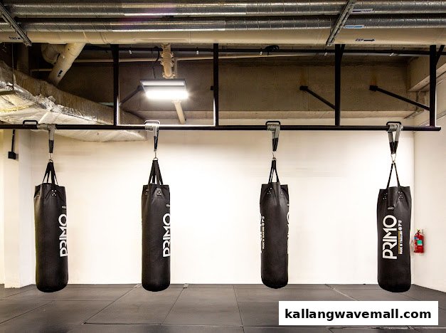 Four black punching bags hang in a modern fitness studio with exposed pipes.