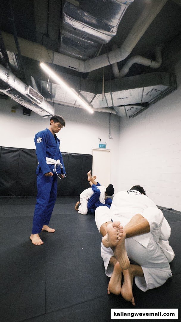 People in gis training on mats in a martial arts studio, with one person observing.
