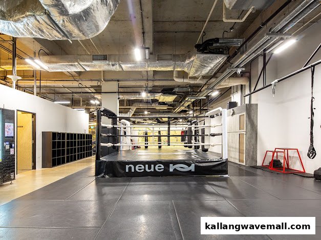 An interior view of a modern fitness gym featuring a boxing ring and various training equipment.