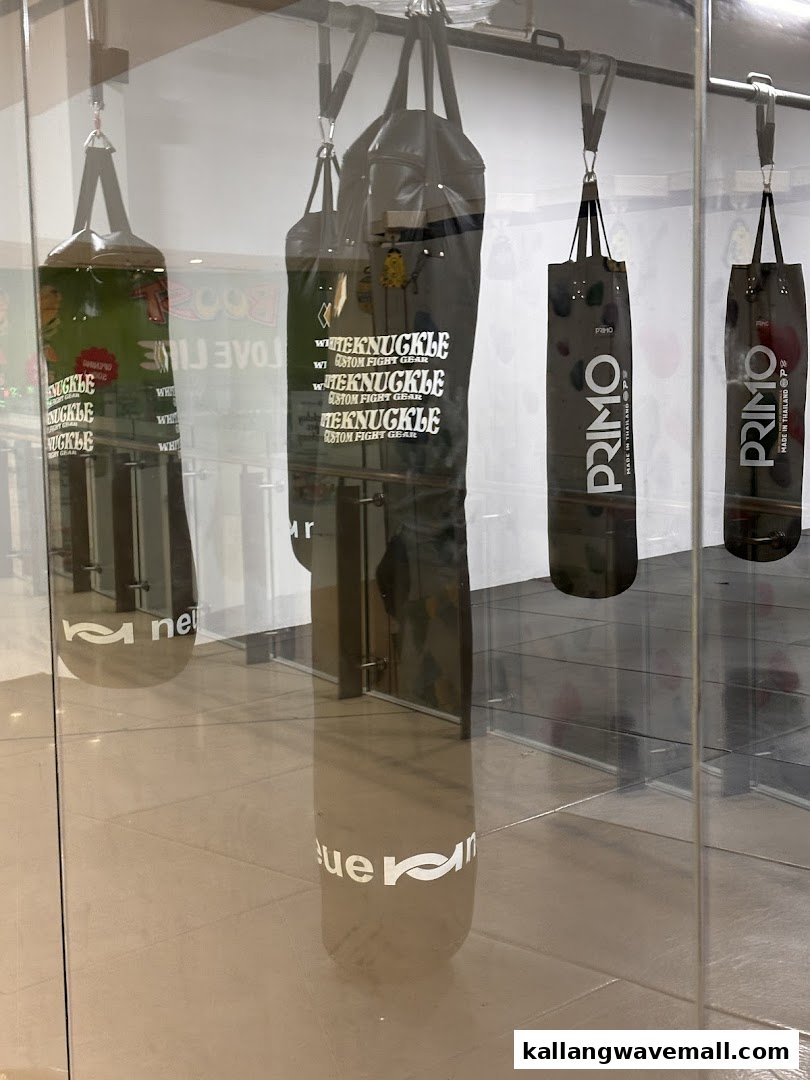 Various punching bags from brands like Whiteknuckle and Primo displayed inside a fitness or fight gear shop.