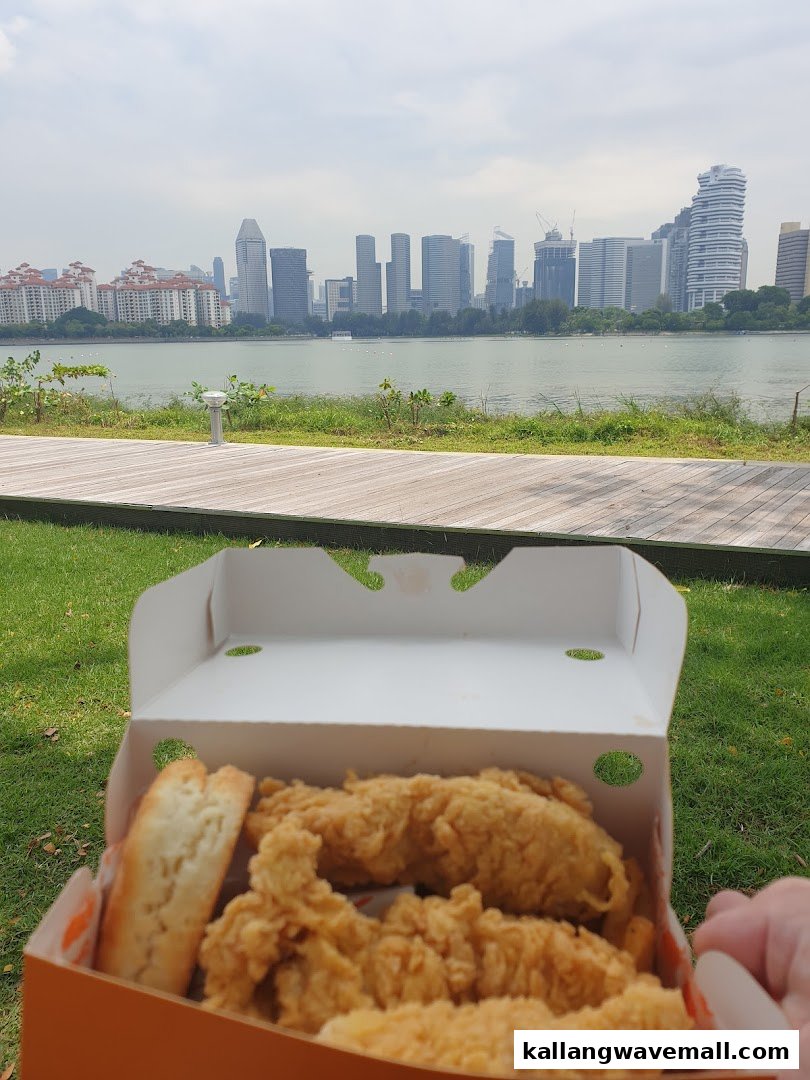 Popeyes fried chicken tenders and biscuit enjoyed outdoors with a city skyline view.