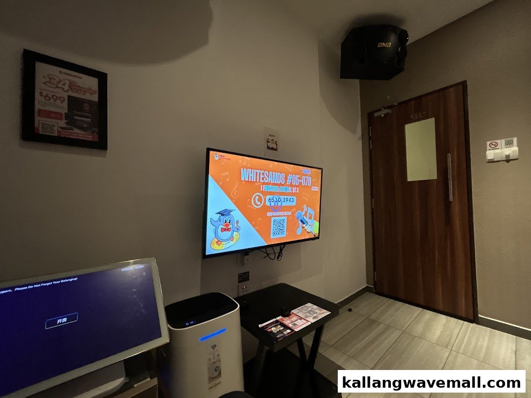 Interior view of a Teo Heng KTV studio room with screens and sound system.