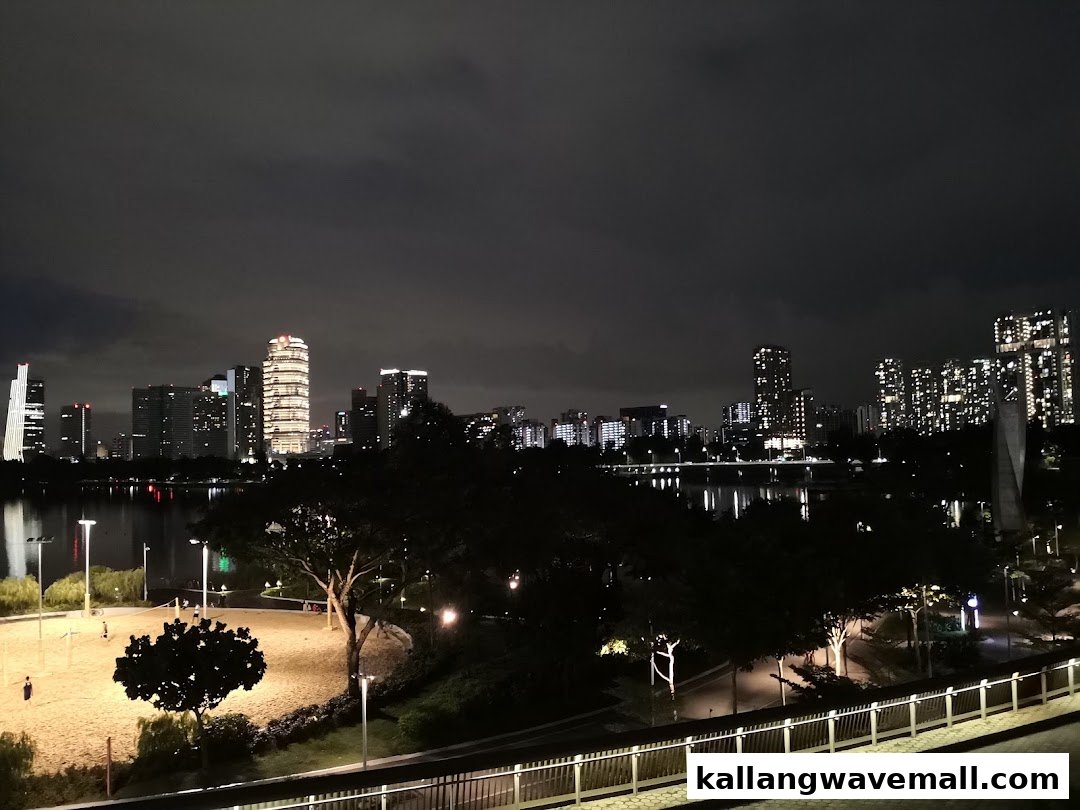 A stunning night view of a city skyline across a body of water, with a park in the foreground.