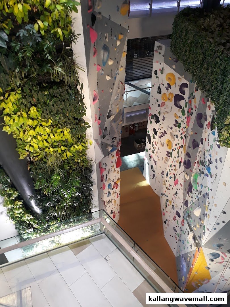 An interior view of Walltopia Climb Central, showcasing multiple climbing walls adorned with colorful holds and lush green vertical gardens.
