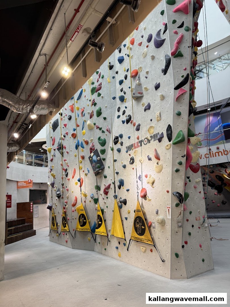 A large, colorful indoor climbing wall with various holds and auto-belay systems at Walltopia Climb Central.