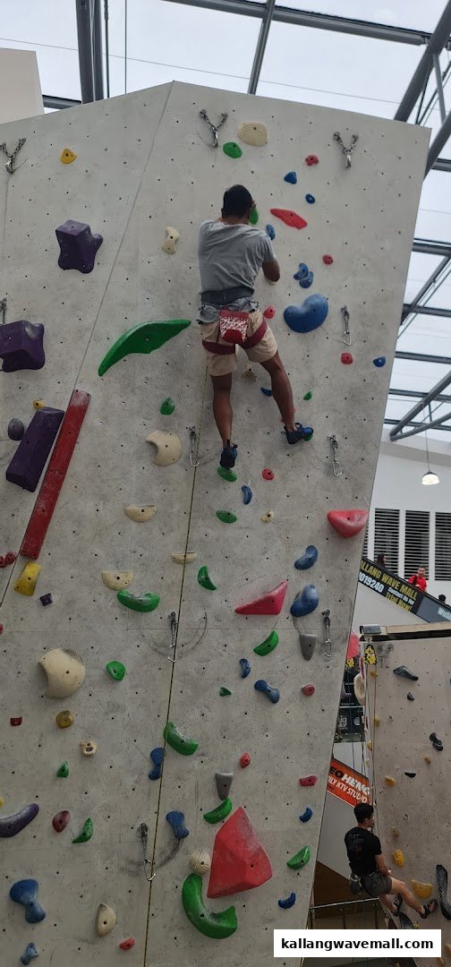 A person actively rock climbing on a tall indoor climbing wall with colorful holds at Walltopia Climb Central.
