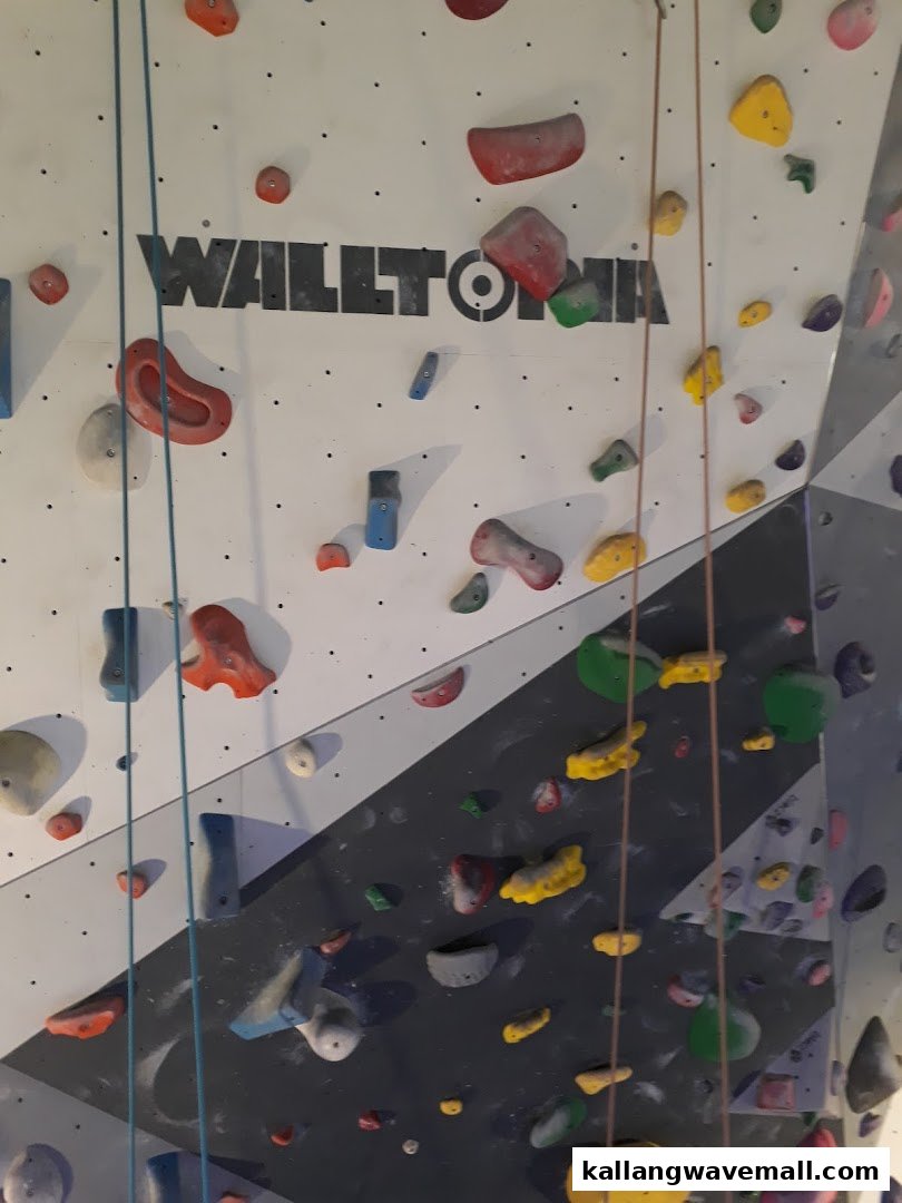 A vibrant indoor climbing wall with colorful holds and ropes, featuring the Walltopia logo.