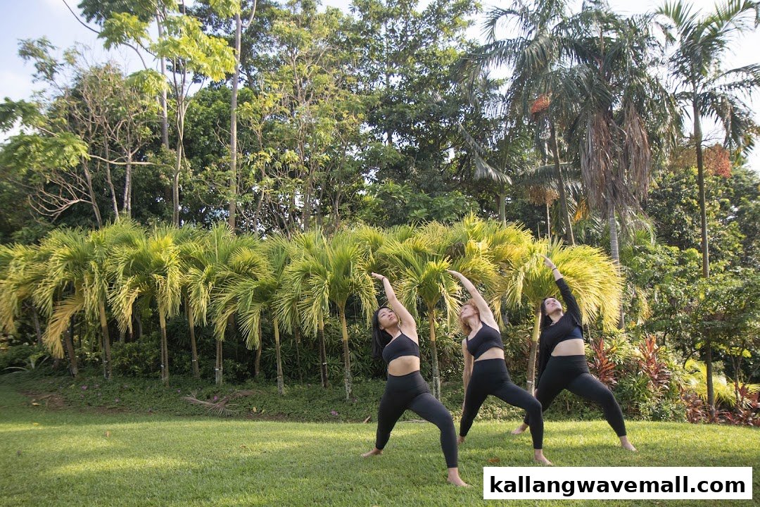 Three women practice yoga outdoors in a lush, tropical setting with palm trees.