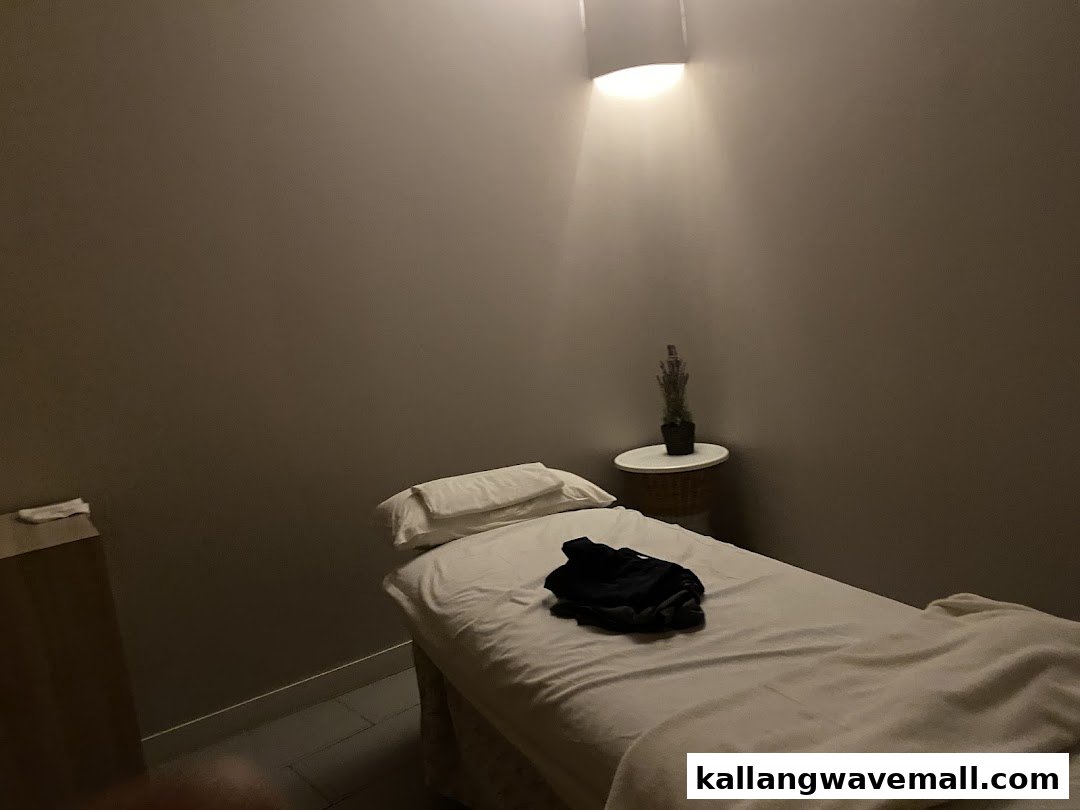 A serene spa treatment room with a massage bed, soft lighting, and a small plant.
