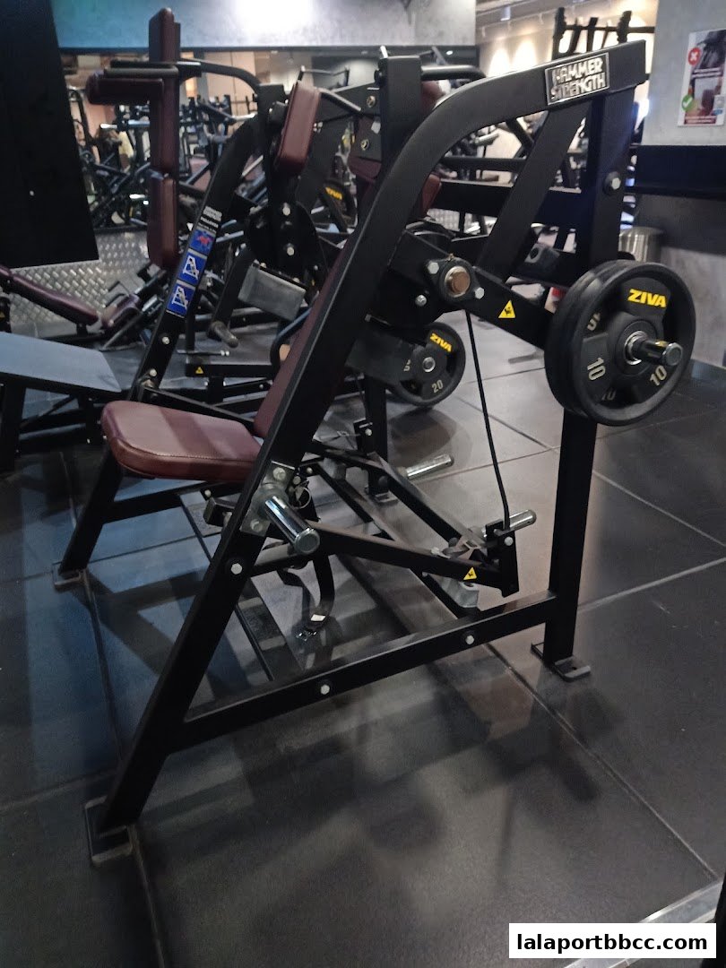 A close-up of a Hammer Strength weight machine with ZIVA weight plates.