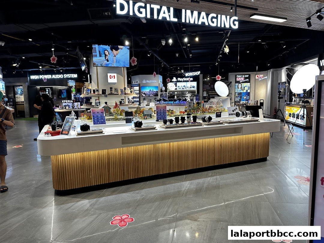 Interior of a Sony Store showcasing digital imaging products and audio systems.
