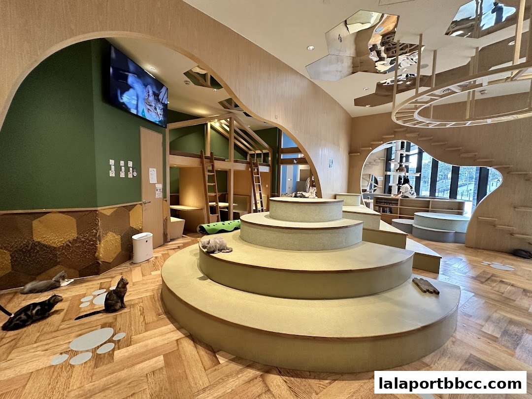 A modern cat cafe interior with multi-level seating, climbing structures, and several cats relaxing.