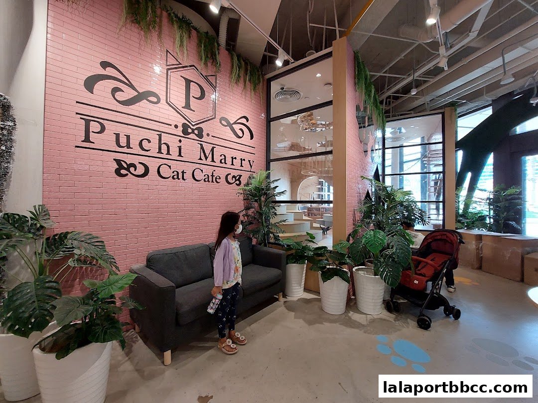 A child stands near a sofa in a brightly lit cat cafe with plants and a stroller.