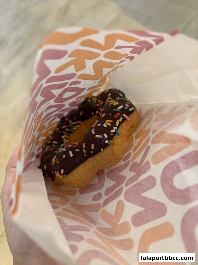 A hand holds a chocolate-frosted donut with sprinkles in a Dunkin' Donuts paper bag.
