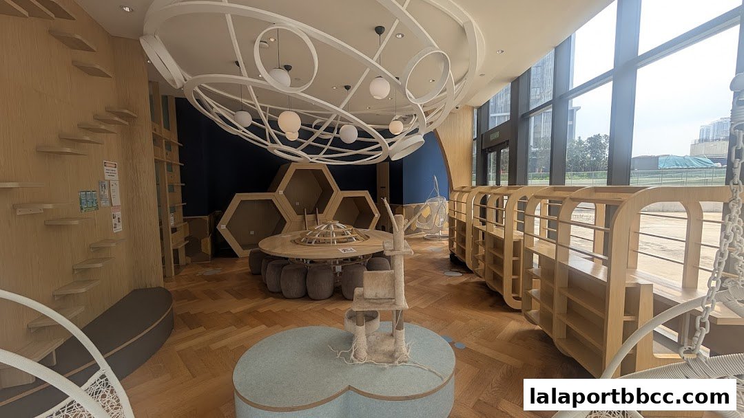 Interior of a modern pet shop with wooden shelves, hexagonal displays, and hanging chairs.