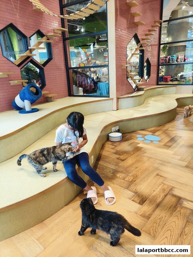 A child interacts with cats in a modern pet cafe with climbing structures.