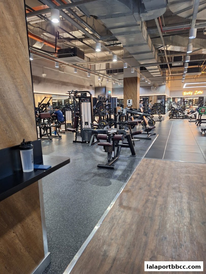 Interior view of a modern gym with various weight machines and workout equipment.