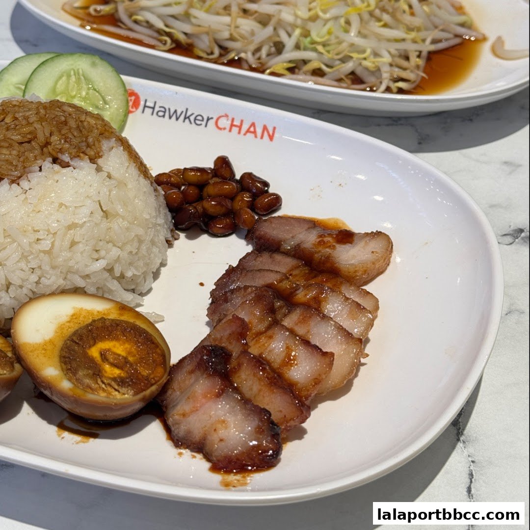 A plate of delicious char siu rice with braised egg and peanuts, and a side of bean sprouts.