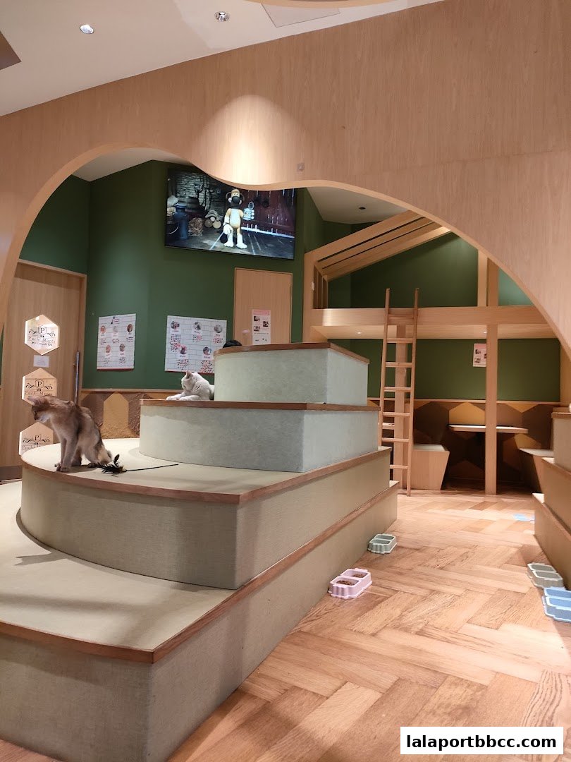 Interior of a cat cafe with cats lounging on tiered platforms and a loft area.