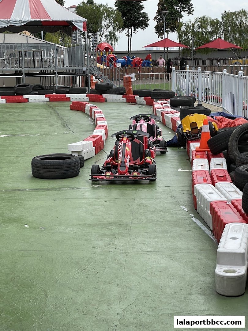 Go-karts lined up on a green track with red and white barriers.