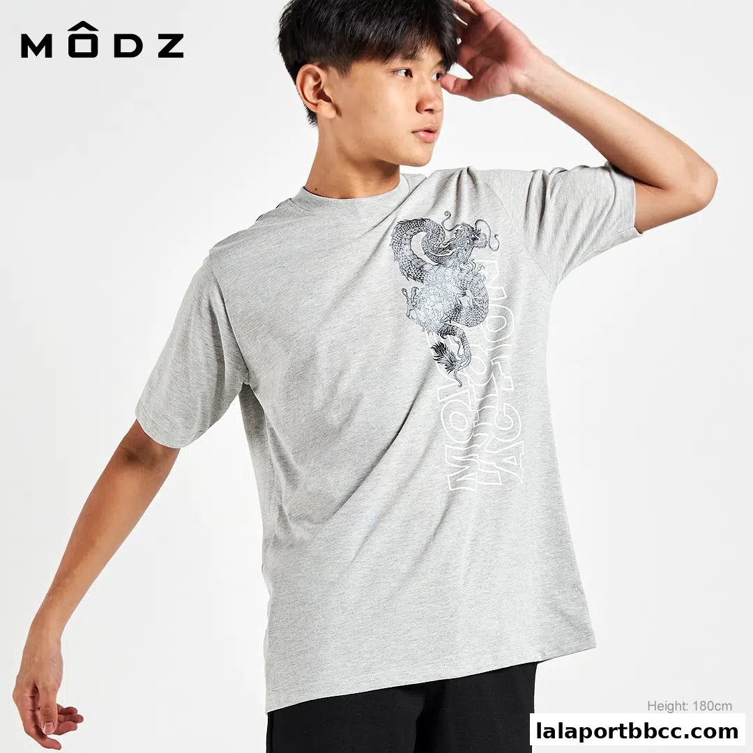 A young man models a grey t-shirt with a dragon graphic and brand logo.