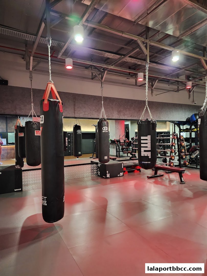 Interior view of a boxing gym with multiple punching bags and fitness equipment.