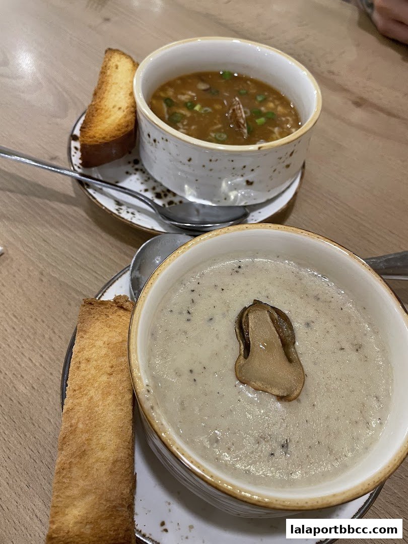 Two bowls of soup, one creamy mushroom and one broth-based, served with toast.