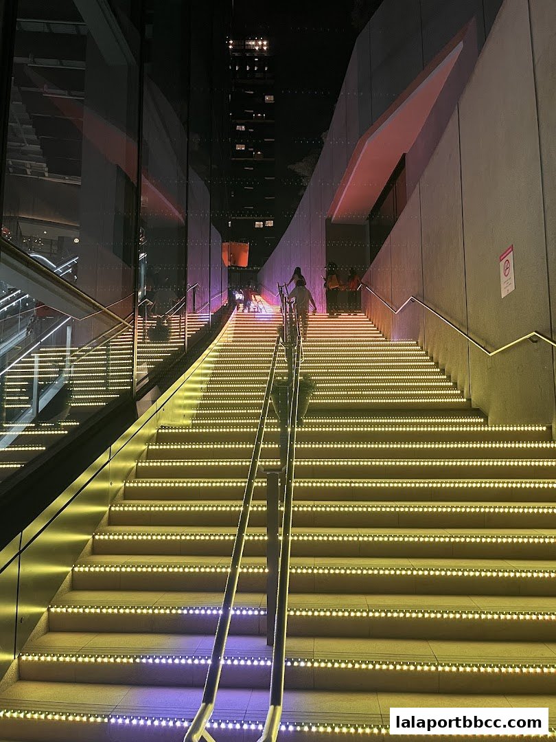 A wide staircase illuminated with colorful LED lights at night, leading upwards.