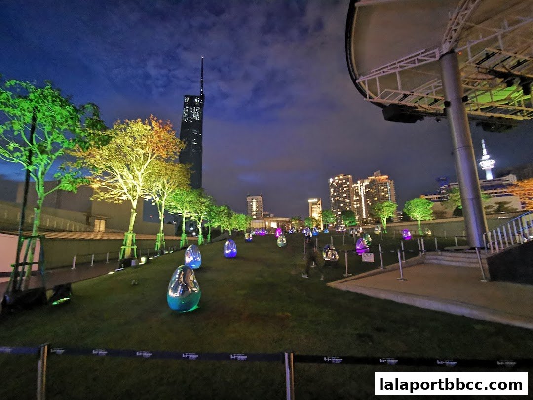 A nighttime view of a park with illuminated trees and egg-shaped sculptures.
