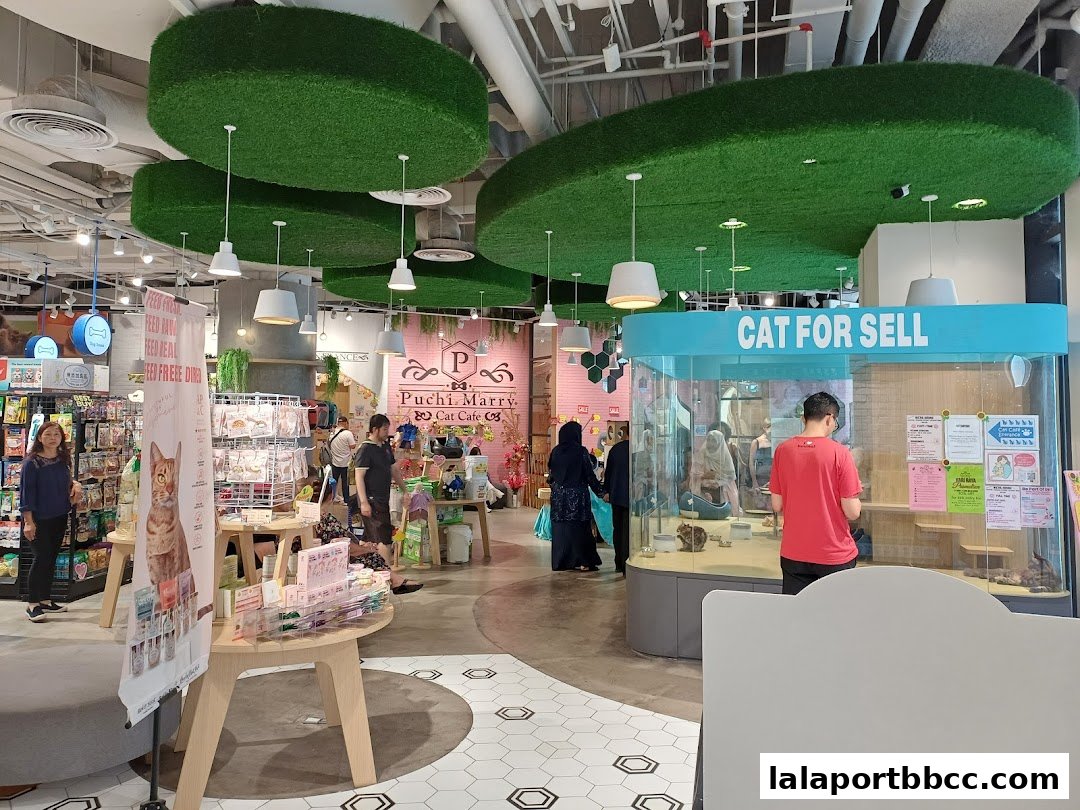 Interior of a cat cafe with cats in enclosures and merchandise for sale.