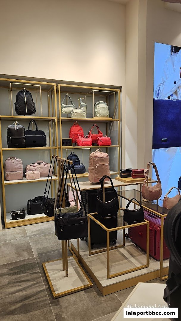 A well-lit retail store interior showcasing a variety of stylish bags and luggage on display shelves.