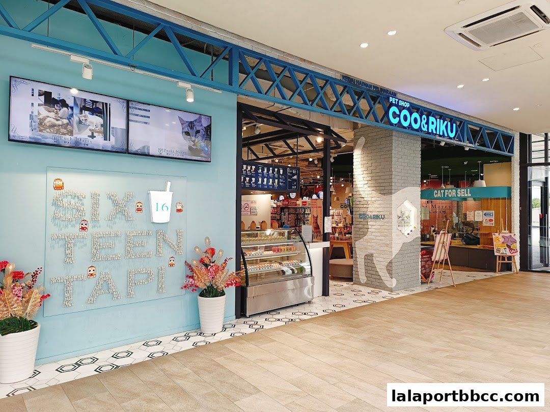 Puchi Marry Cat Cafe Lalaport Store