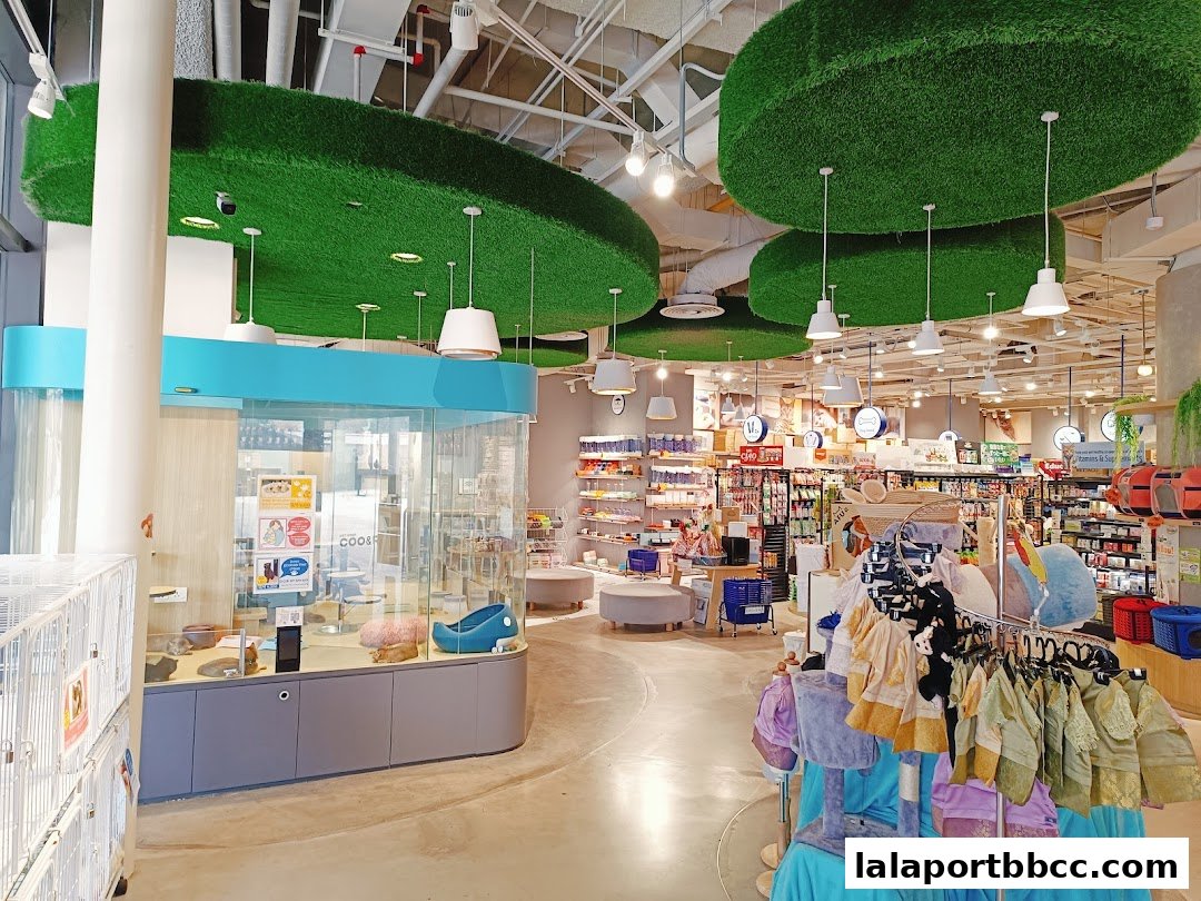 Interior of a pet cafe with cats in enclosures and pet supplies for sale.