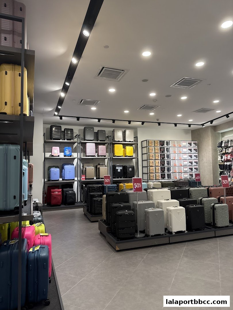 Interior view of a luggage store showcasing a wide variety of suitcases in different colors and sizes.