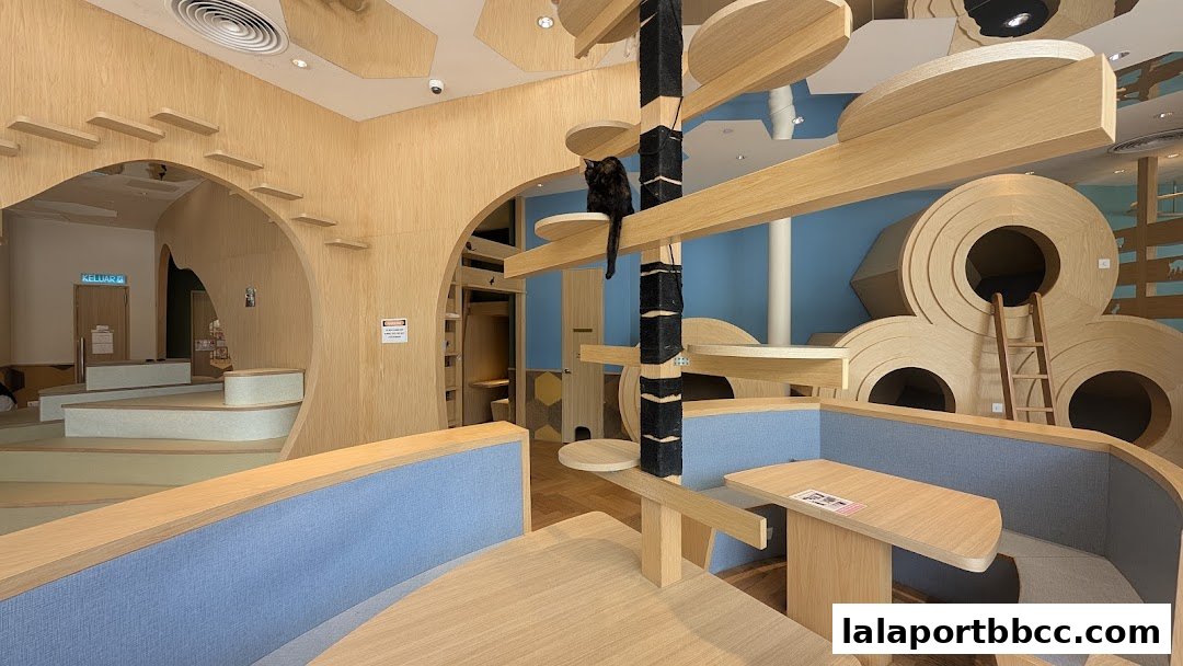 Interior of a modern pet cafe with wooden structures and seating, featuring a cat on a perch.