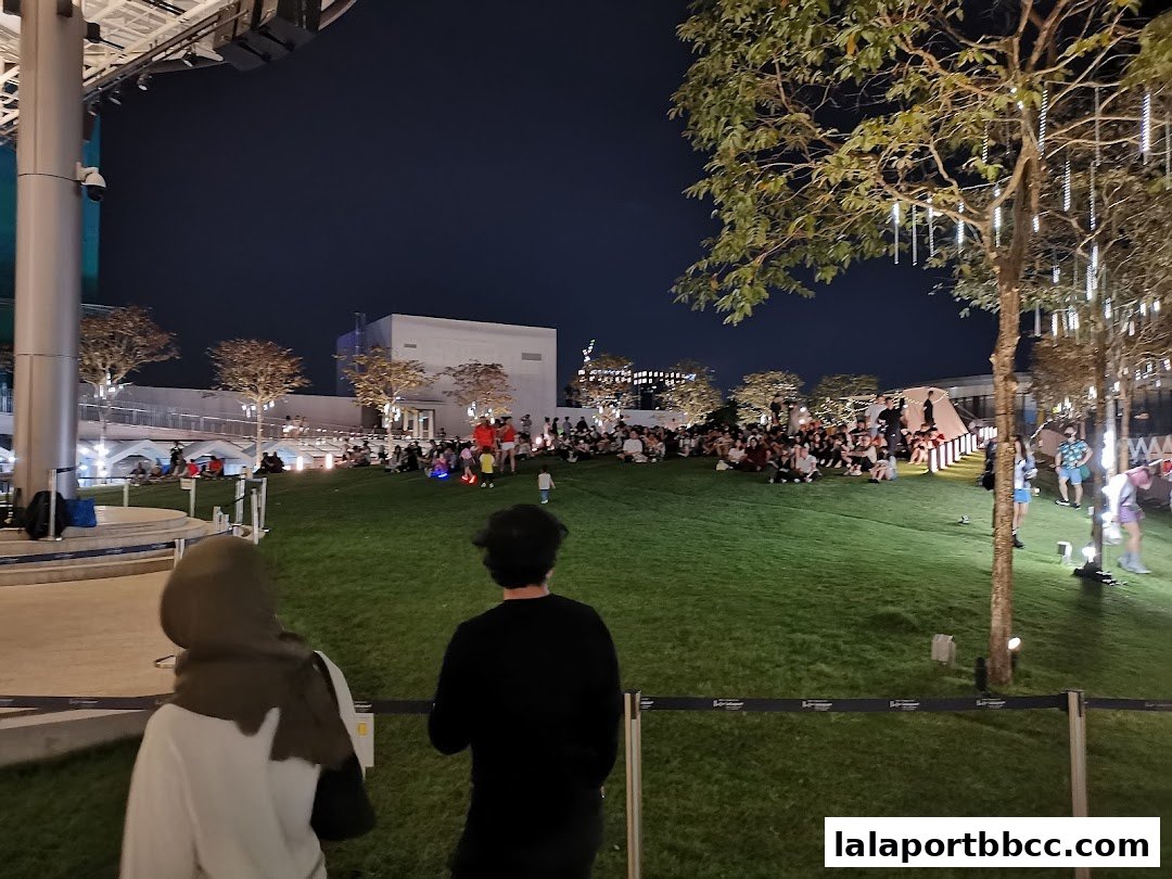People gathered on a grassy lawn at night, with decorative lights on trees.
