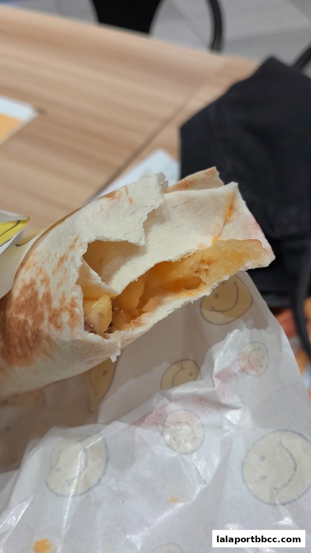 A close-up shot of a delicious kebab wrap filled with fries and sauce.