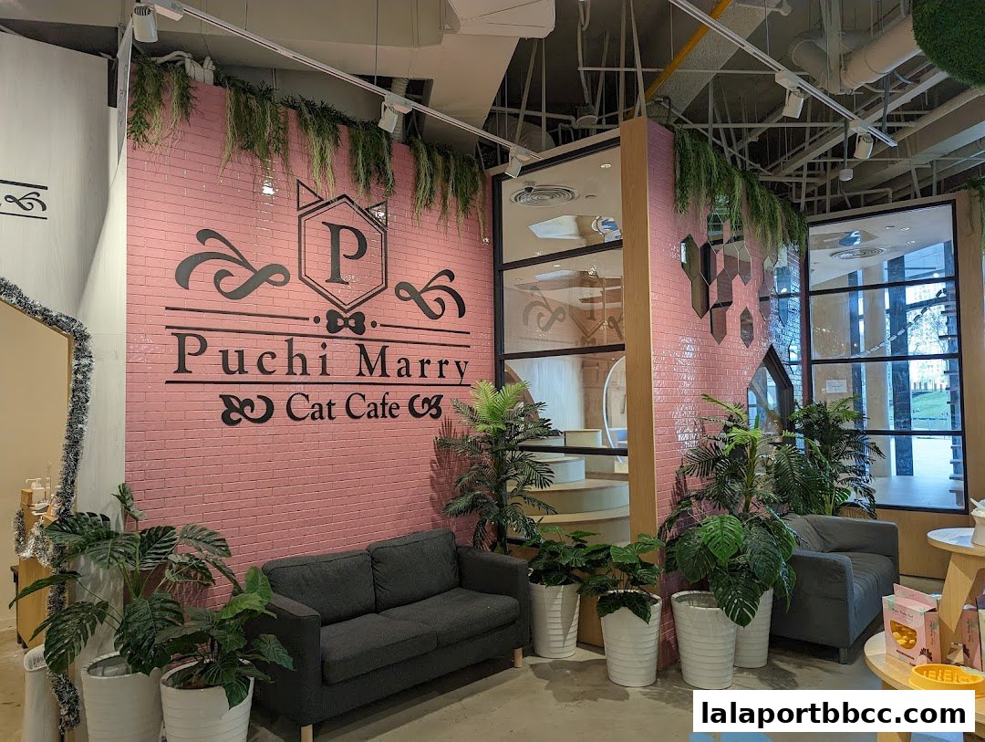 Interior of a cat cafe with pink brick walls, seating, and plants.