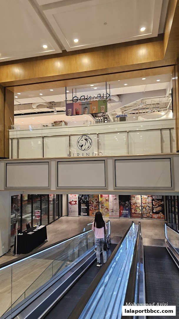 A young girl rides an escalator in a mall, with shops and advertisements visible above.