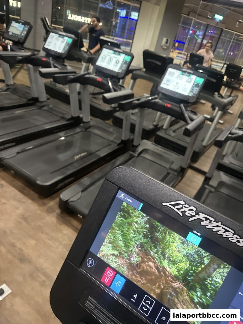 Interior shot of a gym with multiple treadmills, some with screens displaying scenic views.