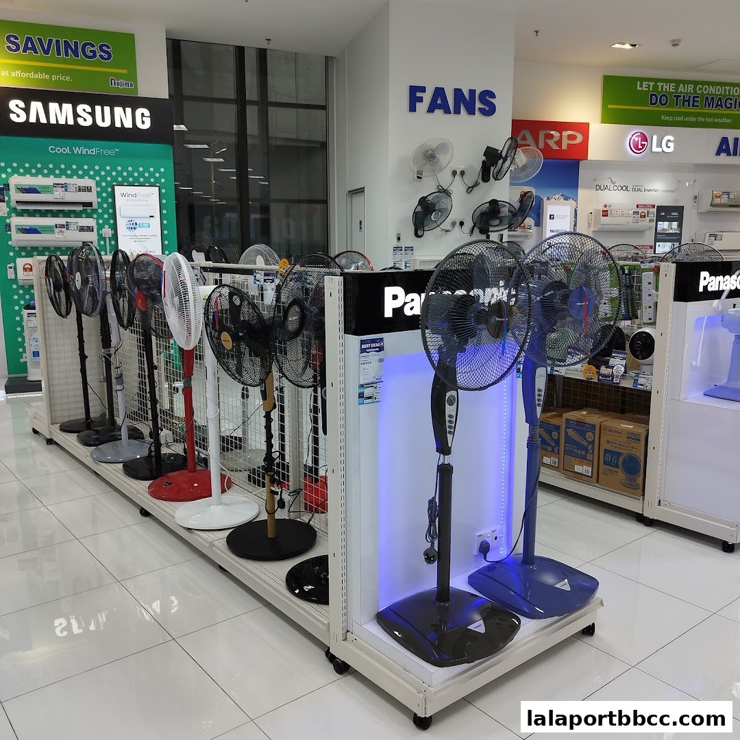 A wide selection of fans and air conditioners are displayed in a retail store.