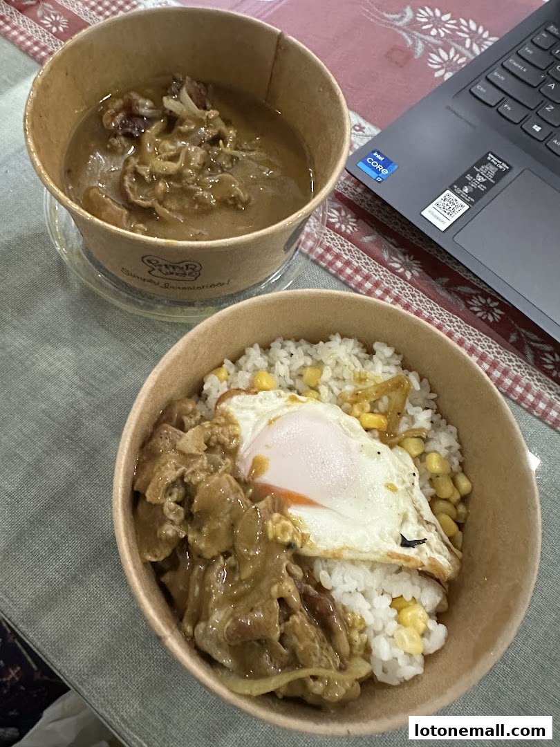 Two takeaway food bowls, one with rice, egg, and meat, the other with stew.