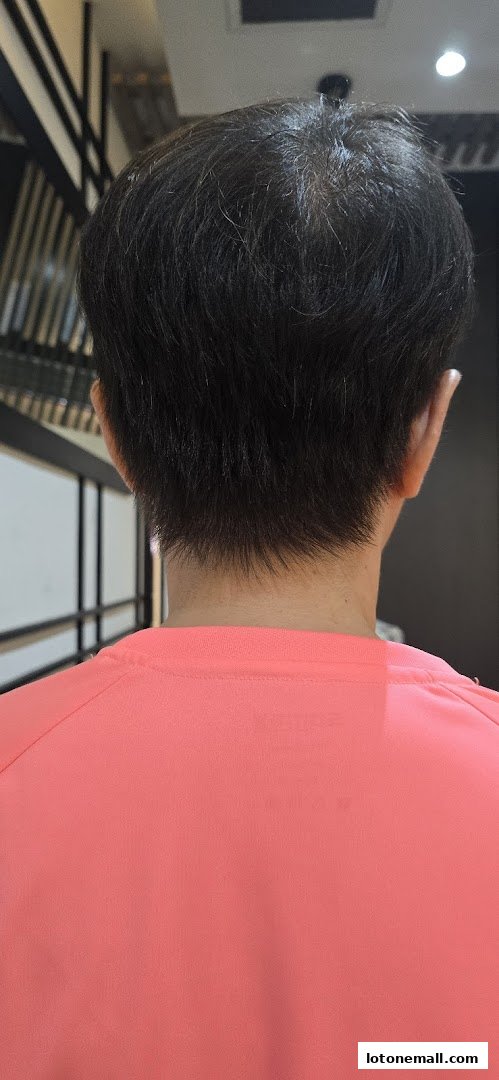 Back view of a person's head and shoulders, showcasing their haircut.