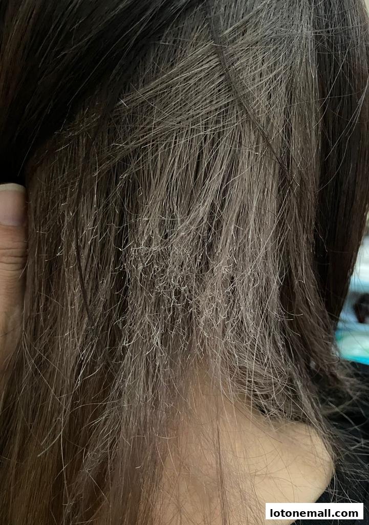 Close-up of damaged, split ends on brown hair, held by a hand.