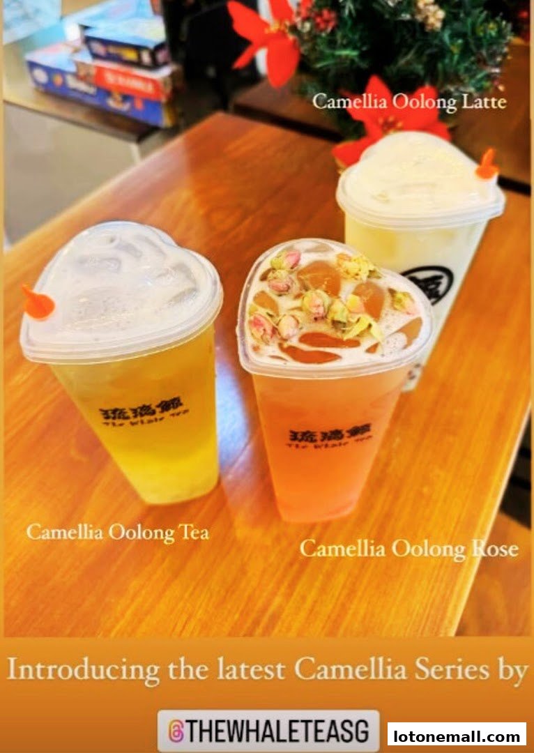 Three refreshing bubble tea drinks from The Whale Tea SG, featuring the Camellia Series.