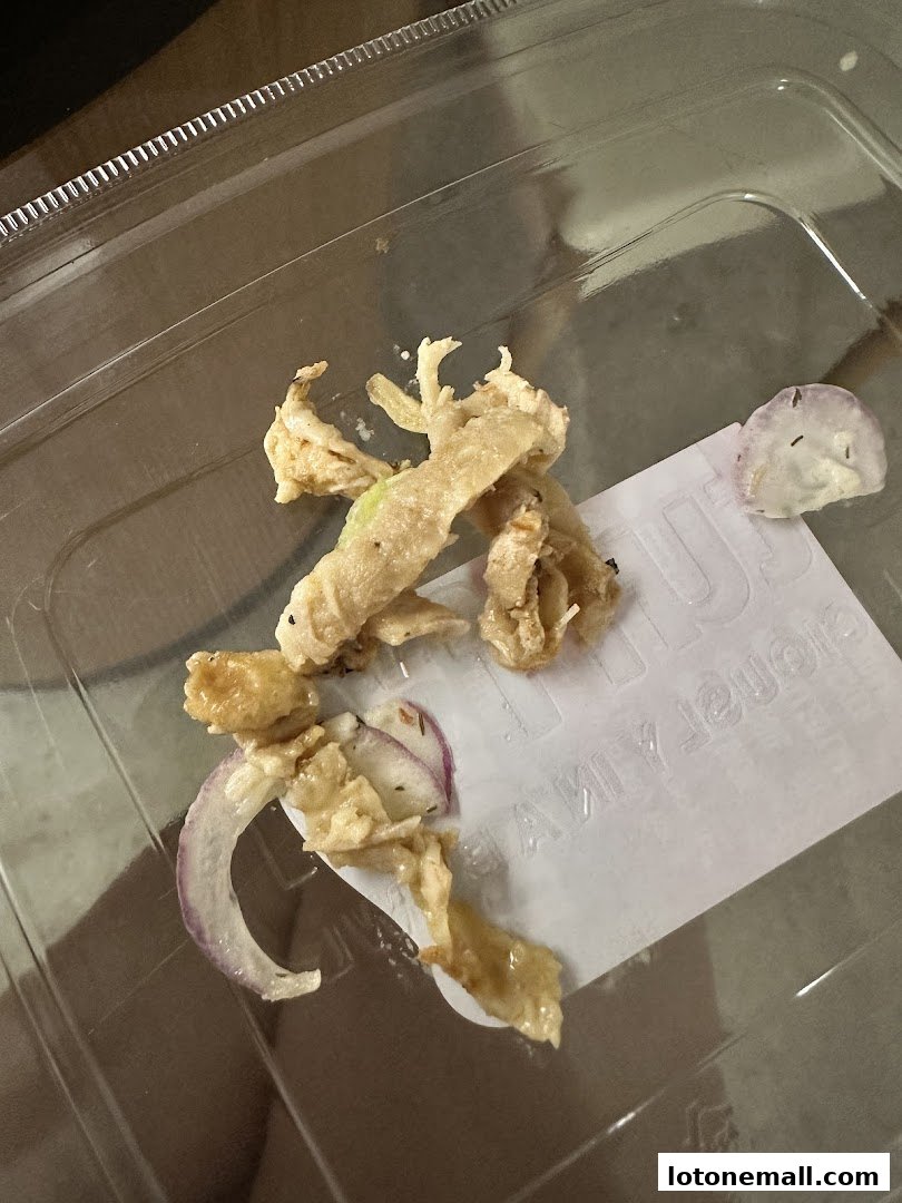 A close-up of fried food items and red onion slices in a clear plastic container.