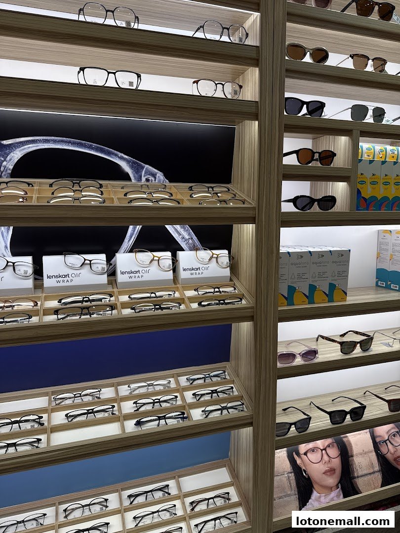 A well-lit display of various eyeglasses and contact lens packaging in a retail store.