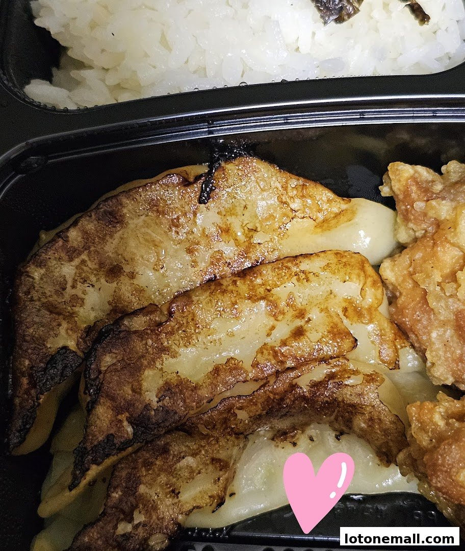 A close-up of a bento box with pan-fried gyoza, fried chicken, and white rice.