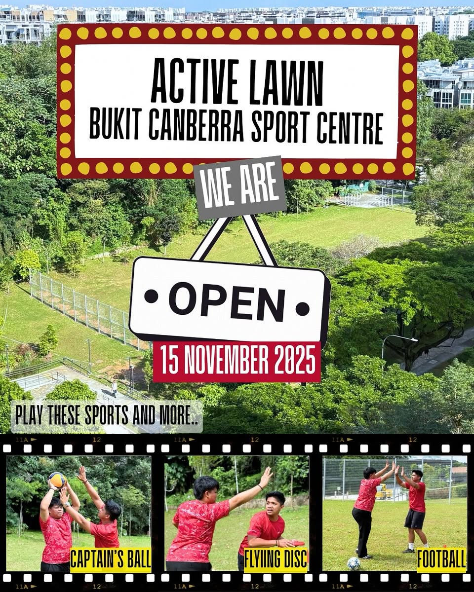 People enjoying various outdoor sports on a green lawn